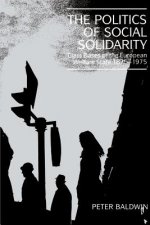 Politics of Social Solidarity