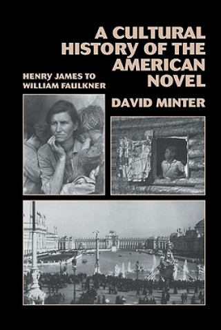 Cultural History of the American Novel, 1890-1940