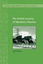 Divided Economy of Mandatory Palestine