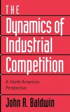 Dynamics of Industrial Competition