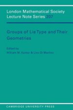 Groups of Lie Type and their Geometries