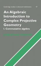 Algebraic Introduction to Complex Projective Geometry