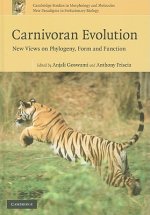 Carnivoran Evolution