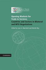 Opening Markets for Trade in Services