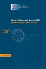 Dispute Settlement Reports 2007: Volume 10, Pages 3827-4300