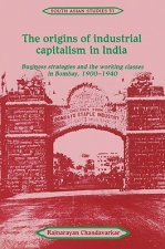 Origins of Industrial Capitalism in India