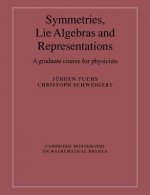 Symmetries, Lie Algebras and Representations