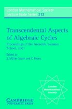 Transcendental Aspects of Algebraic Cycles