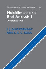 Multidimensional Real Analysis I