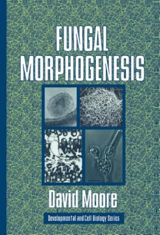 Fungal Morphogenesis