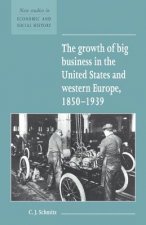 Growth of Big Business in the United States and Western Europe, 1850-1939