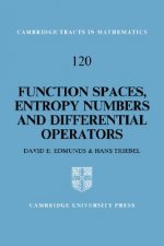 Function Spaces, Entropy Numbers, Differential Operators