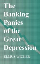 Banking Panics of the Great Depression