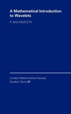 Mathematical Introduction to Wavelets