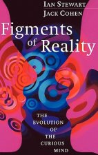 Figments of Reality