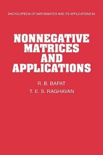 Nonnegative Matrices and Applications