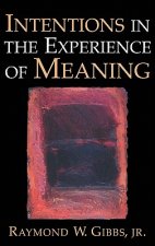 Intentions in the Experience of Meaning