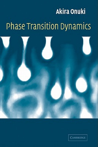 Phase Transition Dynamics