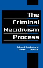 Criminal Recidivism Process