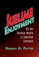 Sublime Enjoyment