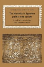 Mamluks in Egyptian Politics and Society