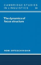 Dynamics of Focus Structure