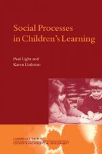 Social Processes in Children's Learning