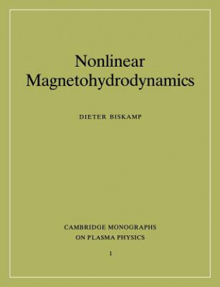 Nonlinear Magnetohydrodynamics