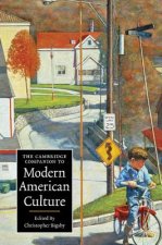 Cambridge Companion to Modern American Culture