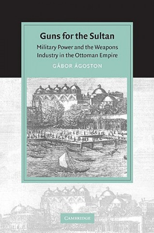 Guns for the Sultan