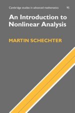 Introduction to Nonlinear Analysis