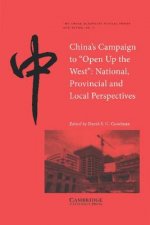 China's Campaign to 'Open up the West'