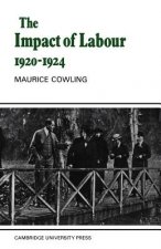 Impact of Labour 1920-1924