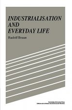 Industrialisation and Everyday Life