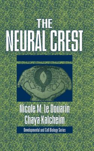 Neural Crest