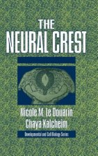 Neural Crest