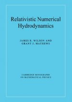 Relativistic Numerical Hydrodynamics