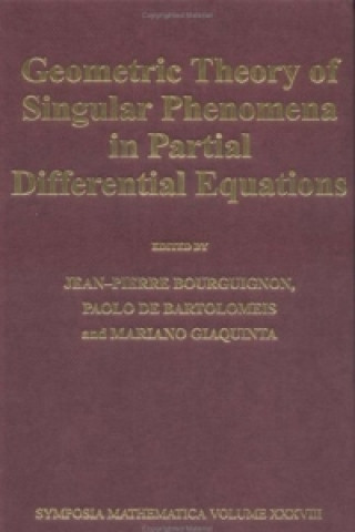 Geometric Theory of Singular Phenomena in Partial Differential Equations