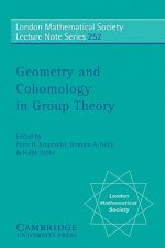 Geometry and Cohomology in Group Theory