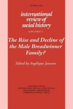 Rise and Decline of the Male Breadwinner Family?