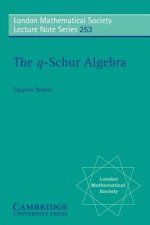 q-Schur Algebra