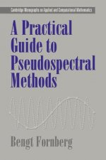 Practical Guide to Pseudospectral Methods