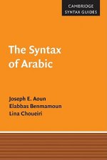 Syntax of Arabic