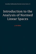 Introduction to the Analysis of Normed Linear Spaces