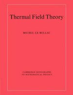 Thermal Field Theory