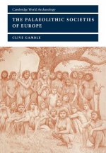 Palaeolithic Societies of Europe
