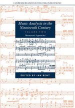 Music Analysis in the Nineteenth Century: Volume 2, Hermeneutic Approaches