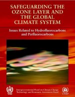 Safeguarding the Ozone Layer and the Global Climate System