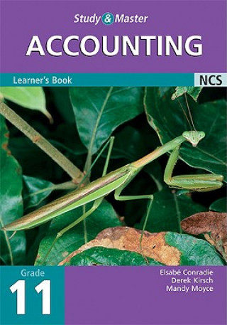 Study and Master Accounting Grade 11 Learner's Book