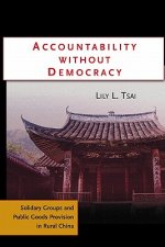 Accountability without Democracy